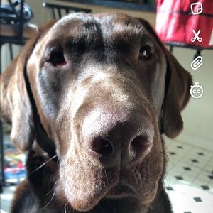 Meet your Posher, Doug